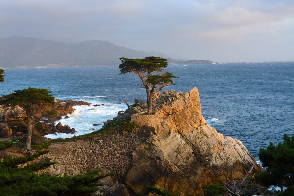 lone, cypress, monterey-2872270.jpg