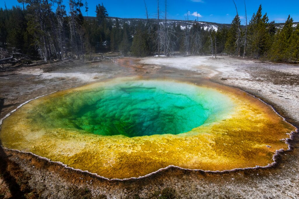 Yellowstone