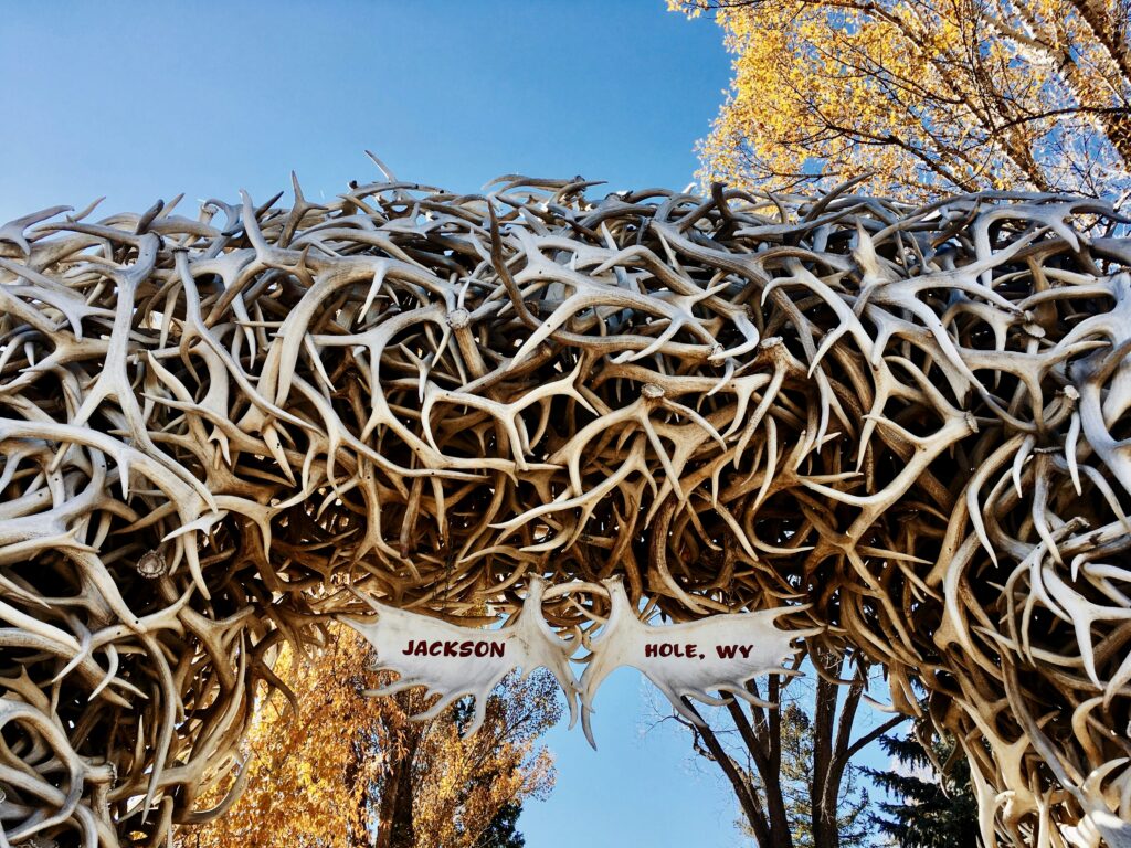 Jackson Hole, Wyoming Antlers